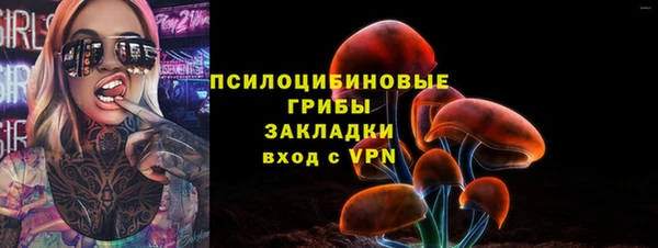 PSILOCYBIN Арсеньев