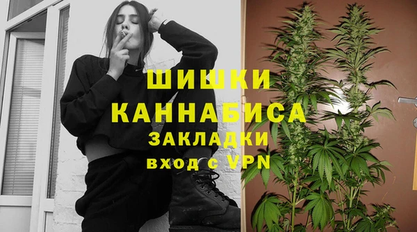 индика Армянск
