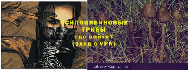 PSILOCYBIN Арсеньев