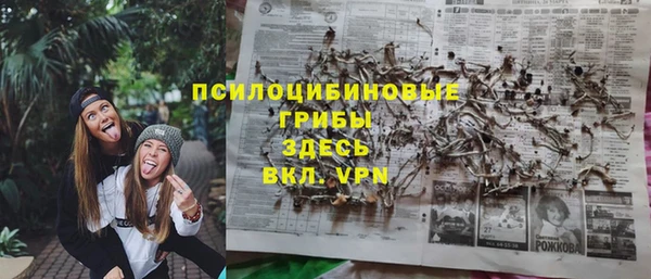 индика Армянск