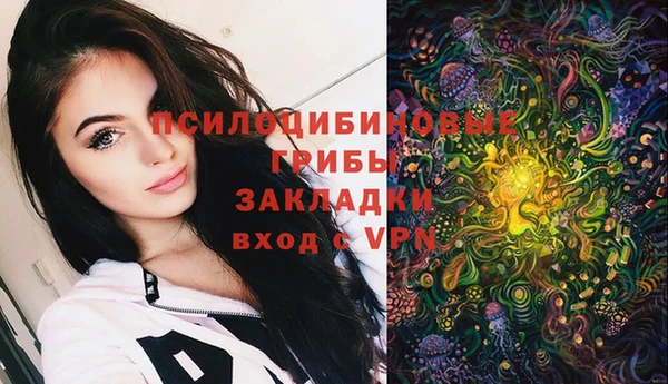 прущие крисы Аркадак