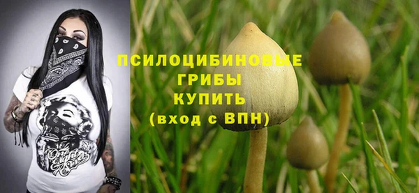 индика Армянск