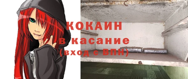 индика Армянск