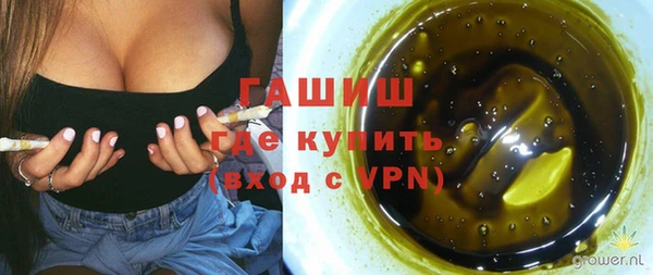 индика Армянск
