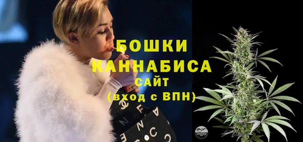 PSILOCYBIN Арсеньев