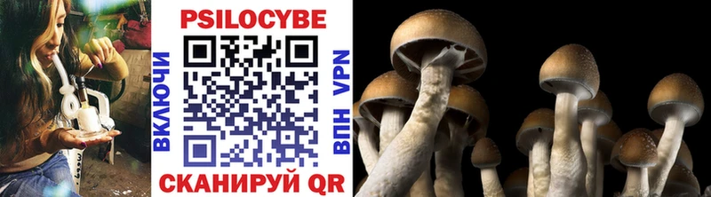 Псилоцибиновые грибы Psilocybine cubensis  площадка телеграм  Саянск 